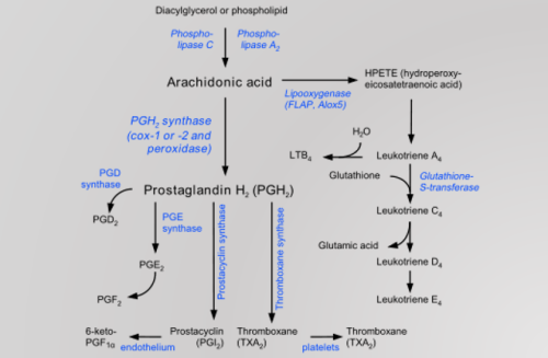 Prostaglandins and Eicosanoids